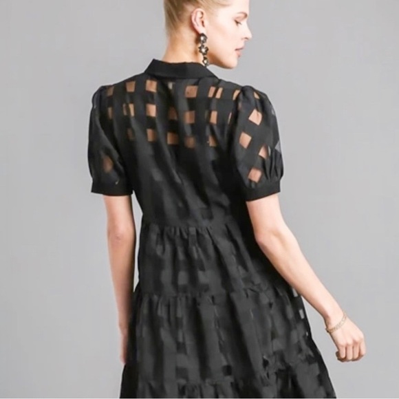 Basket Weave Organza Button Down Dress - Picture 5 of 7